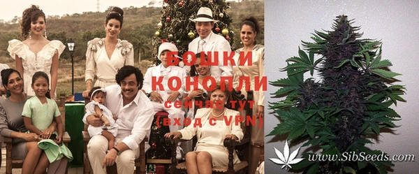 MDMA Ельня